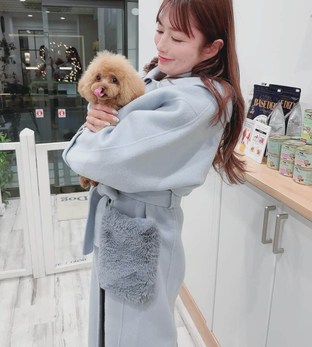 安西ひろこさんのインスタグラム写真 - (安西ひろこInstagram)「カップケーキ🐩💕 大人な顔になってきたなぁ！ . . #カップケーキ #トイプードル #プードル #犬 #愛犬 #ふわもこ部 #犬のいる生活 #癒し #dog #instdog #toypoodle #toypoodlelove」12月4日 22時38分 - hiroko_anzai_