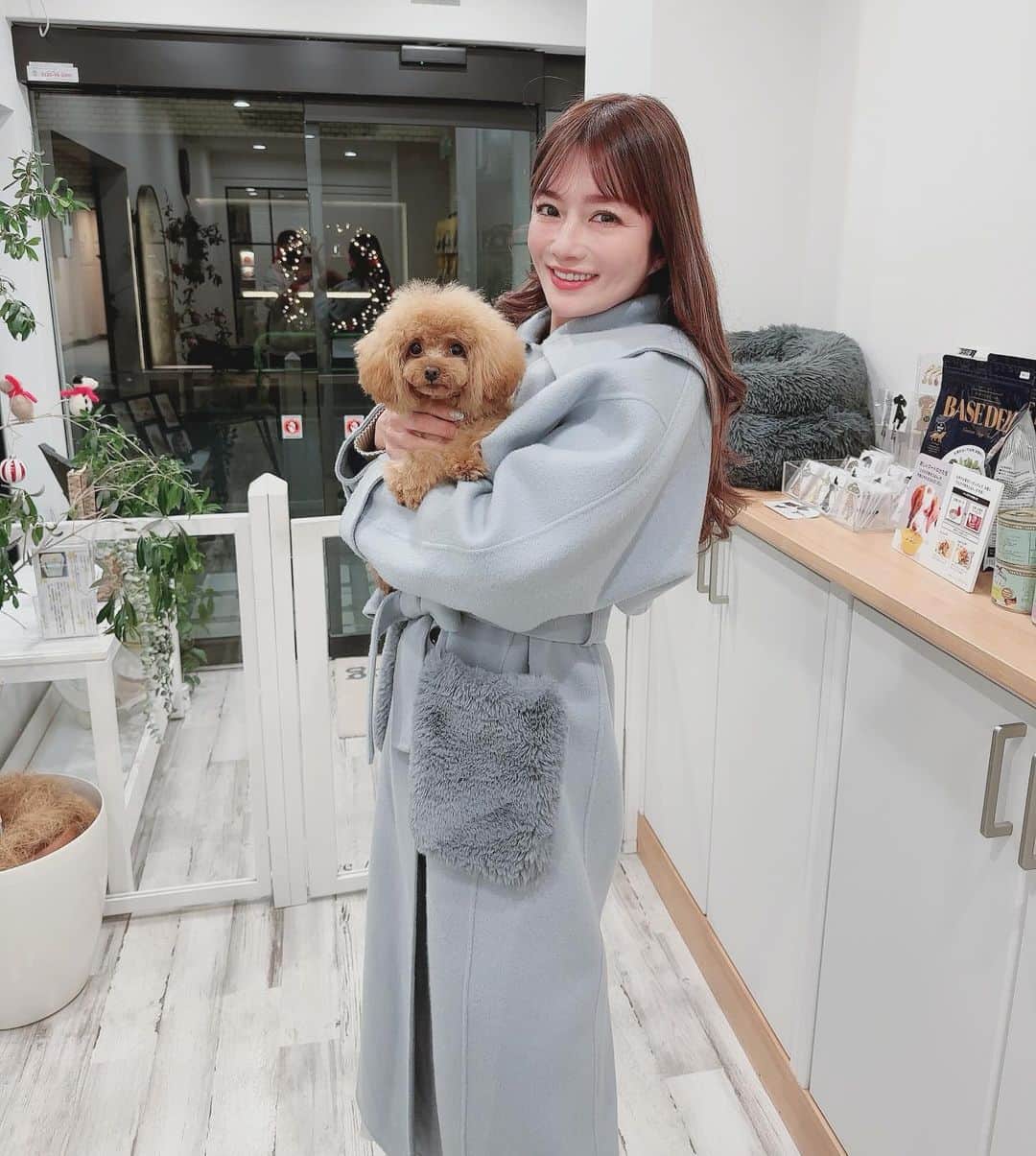 安西ひろこさんのインスタグラム写真 - (安西ひろこInstagram)「カップケーキ🐩💕 大人な顔になってきたなぁ！ . . #カップケーキ #トイプードル #プードル #犬 #愛犬 #ふわもこ部 #犬のいる生活 #癒し #dog #instdog #toypoodle #toypoodlelove」12月4日 22時38分 - hiroko_anzai_
