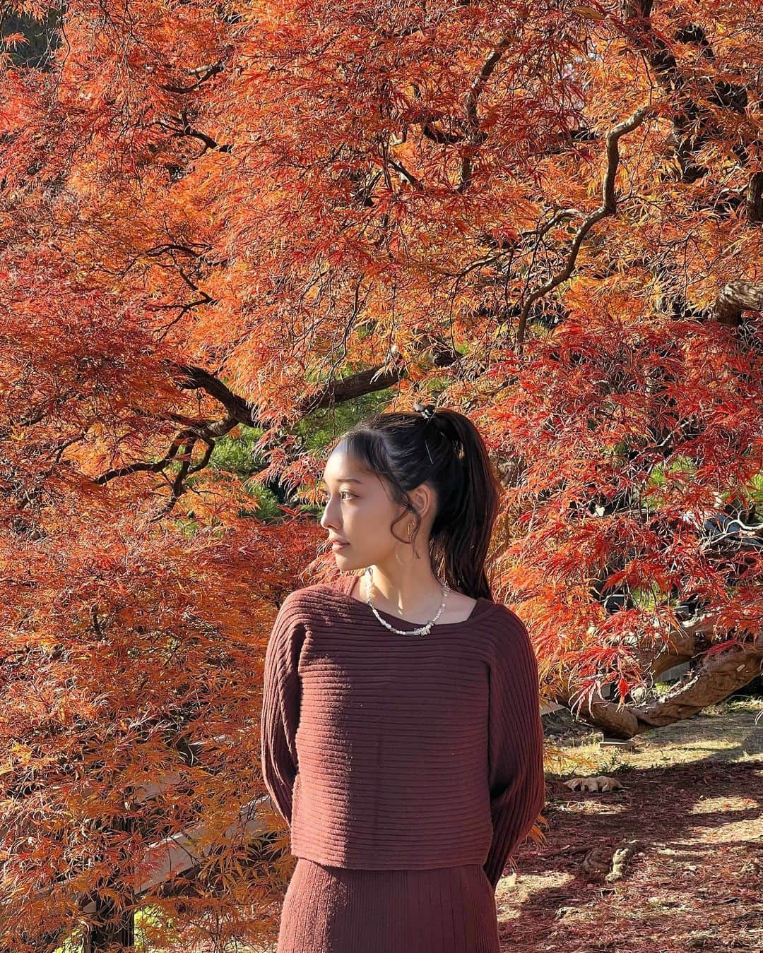 amiさんのインスタグラム写真 - (amiInstagram)「上京して10年経つけど、新宿御苑初めて行った！凄いベストタイミングだったかも🍂🍁 #紅葉 #新宿御苑」12月4日 22時43分 - amidesudoumo