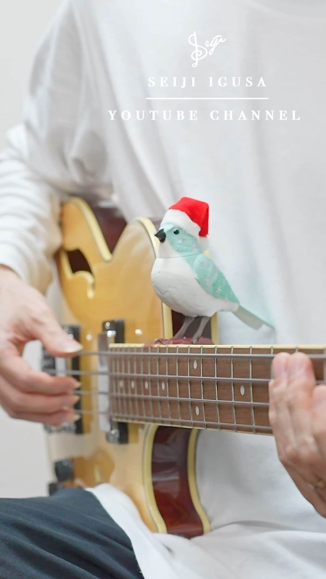井草聖二のインスタグラム：「Christmas with a bassist alone.  #instaguitar #guitar #guitarra #bass」