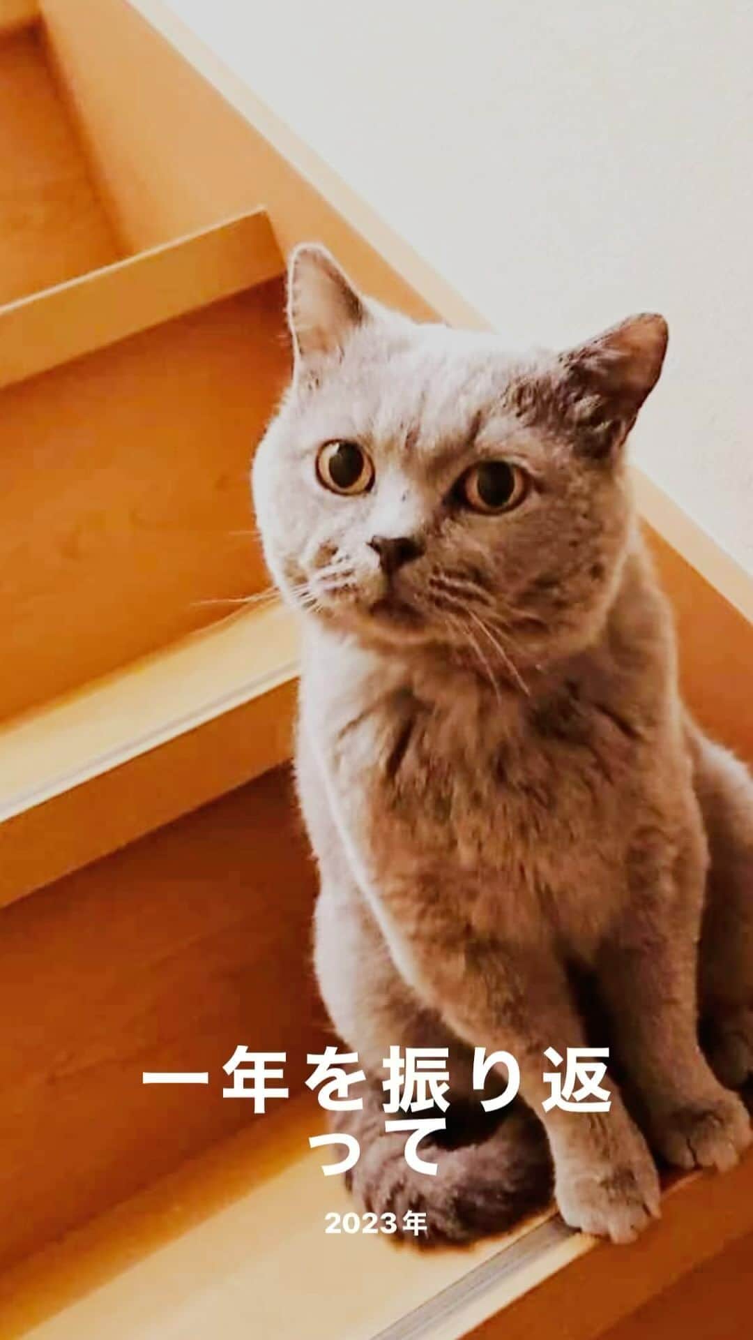 KAORUのインスタグラム：「#ありがとう 😊」