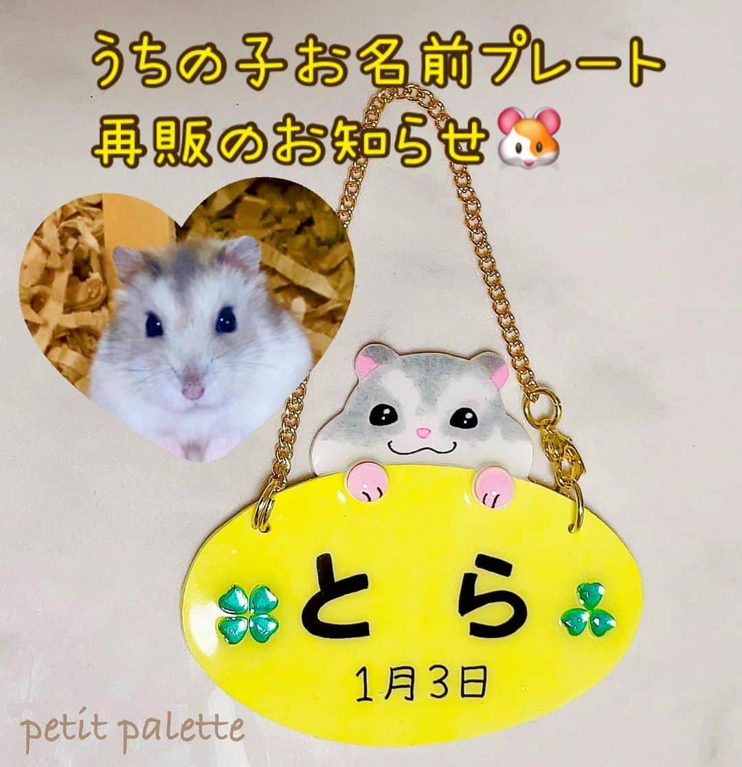 hamster_mocoのインスタグラム