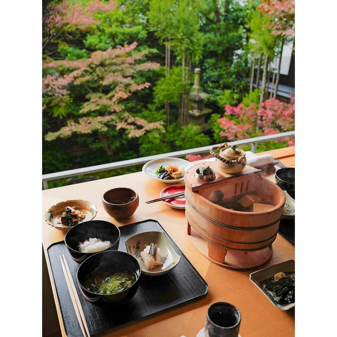 石井美保さんのインスタグラム写真 - (石井美保Instagram)「季節を存分に感じさせてくれるお食事を満喫して来ました。お庭が見えるお部屋で朝食を頂けて幸せ。 #mihoishii_京都」12月5日 9時31分 - miho_ishii