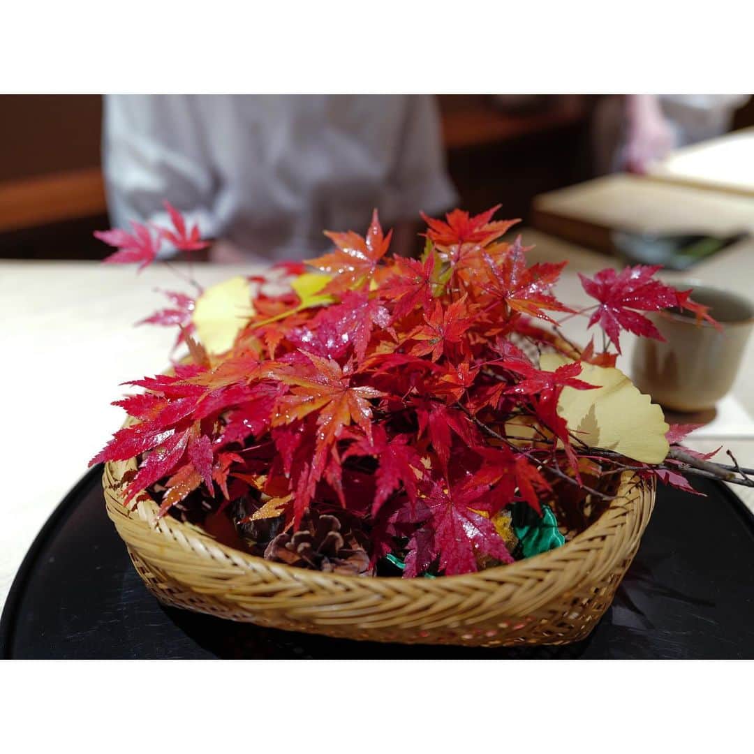 石井美保のインスタグラム：「季節を存分に感じさせてくれるお食事を満喫して来ました。お庭が見えるお部屋で朝食を頂けて幸せ。 #mihoishii_京都」