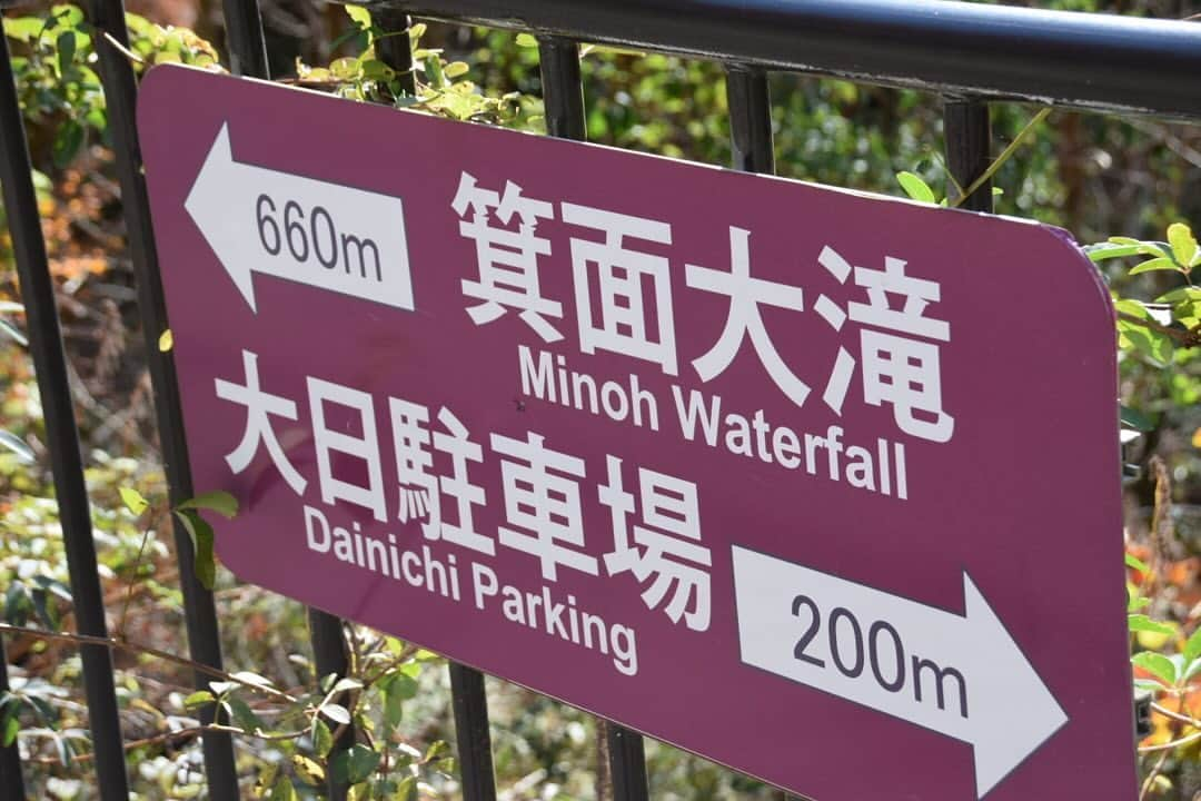 牧野誠三さんのインスタグラム写真 - (牧野誠三Instagram)「４日箕面の滝を紅葉祭りが終わったので行って来ました。人混みというほどではありませんが、駐車場は9割。阪急箕面駅からの観光客も多く、インドらしき言葉や、中国らしき言葉が飛び交っていました。 気温もひんやりしていましたが、凍えるほどではありませんでした。 ただやはり今年の紅葉はお世辞にも綺麗とはいえず、冷え込みが11月上旬からだった事はかなり影響しているようです。 猿には会いませんでしたが、人には充分出会いました。 帰りに、勝尾寺周りの道では、駐車場も満杯、バスを待つ人も溢れていましたよ。まぁ、季節のうつろいを目に焼き付け過ごしました。 #元ytvアナウンサー #元読売テレビ #牧野誠三 #紅葉 #箕面の滝 #箕面公園」12月5日 9時32分 - makino_seizo_freeter