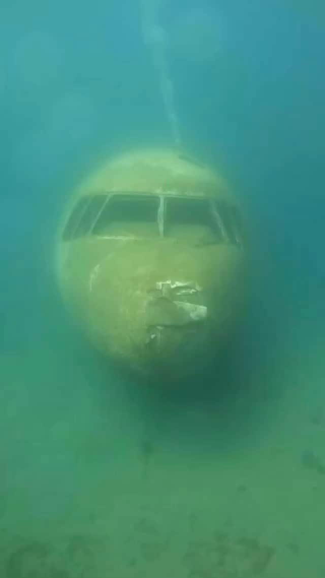 Live To Exploreのインスタグラム：「@deepbluedivecenter showing us the Tristar Airplane Wreck in Red Sea,Aqaba ✈️🤯  Would you love to explore this site?🤩   Credits to @deepbluedivecenter  📍Red Sea, Aqaba 🇯🇴」