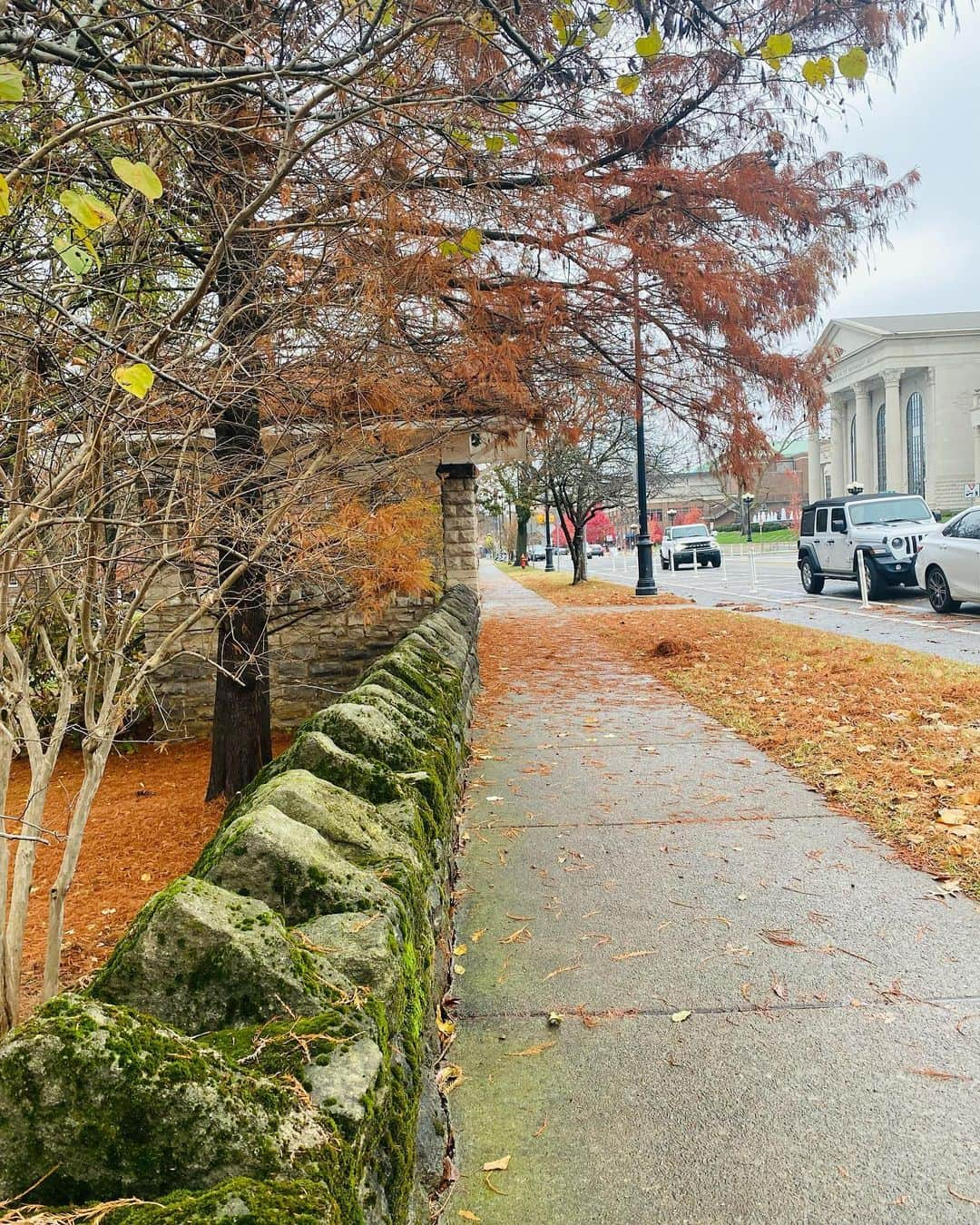 ニア・ピープルズさんのインスタグラム写真 - (ニア・ピープルズInstagram)「In #nashville on my way to see the eye doc. Even with one clear eye… aren’t the colors of this city beautiful?❣️#grateful #surrender #grace #clarity」12月5日 2時41分 - niapeeples