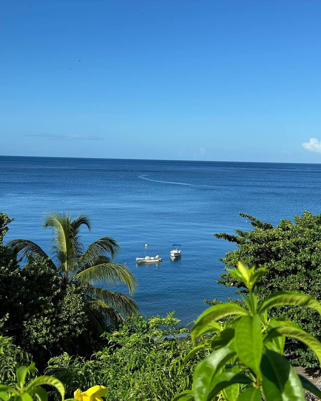 ガラ・ゴンザレスのインスタグラム：「Second stop of the journey: #martinique 🏝️」