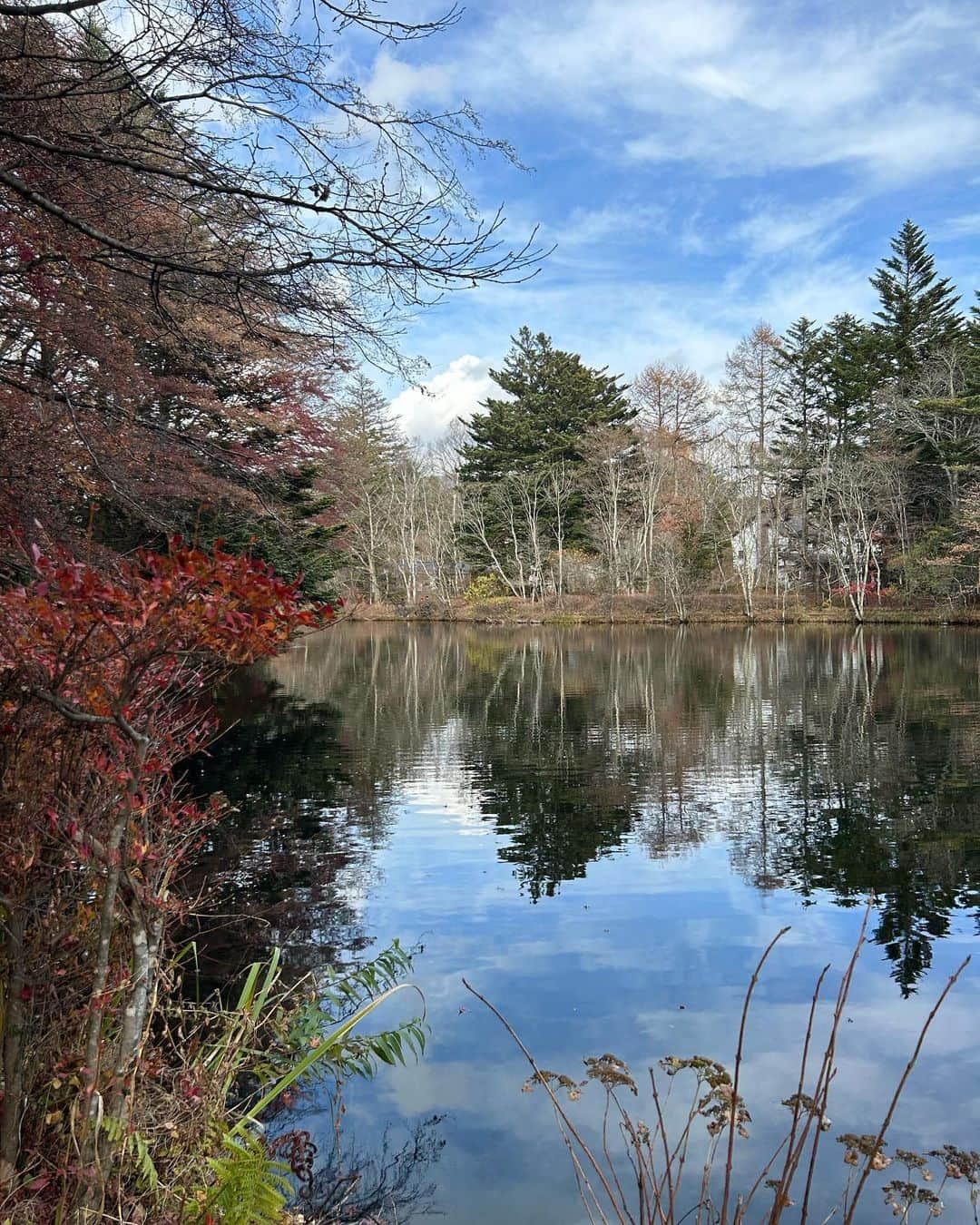 前田ゆうさんのインスタグラム写真 - (前田ゆうInstagram)「紅葉🍁の季節だねぇ〜😄♪ 雲場池へ✨とっても紅葉がきれいでした😍🍁 旧銀座通りから中道？というか別荘地？みたいなところ歩いて行ったんだけど景色が最高すぎた😍✨  そしてハルニレテラスへ✨‼️‼️ 大行列の川上庵！！ こちらは商店街のほうより少し空いてたように感じました＾＾肌寒い季節だからかテラス席選んだらはやめに通してもらえたんやけど、テラス席が紅葉と川を眺めながら、川の音を感じてすする蕎麦が最高に気持ちよかったです😌 ストーブとひざ掛けもあってありがたかった✨‼️ ここのジェラートも寒かったけど美味しすぎてたべてよかった😍チョコがすきでした！😁百名店なんだって🍨♡ 観光してたら他のとこほでも見かけました😁  ホテルで朝ごはん食べ過ぎて天ぷら断念してしまったのが悔やまれる🥲つぎいったら絶対食べる！！😌  しかし軽井沢きて🐶連れてきたかったなぁ🐶🥹って何回思ったことか🥲‼️‼️‼️ 今回、ホテルがわんちゃんのお部屋とれなかったから断念しちゃったけど、わんちゃん連れでもたくさん遊べるところがあって次は連れてこようと誓いました🙋‍♀️！！✨  #軽井沢　#観光 #雲場池　#ハルニレテラス」12月5日 10時34分 - yuu_maeda