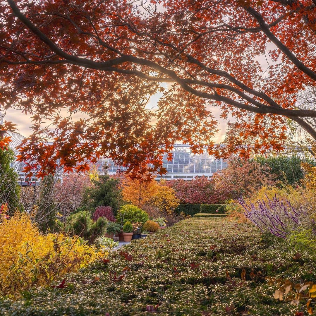 ニューヨーク植物園のインスタグラム