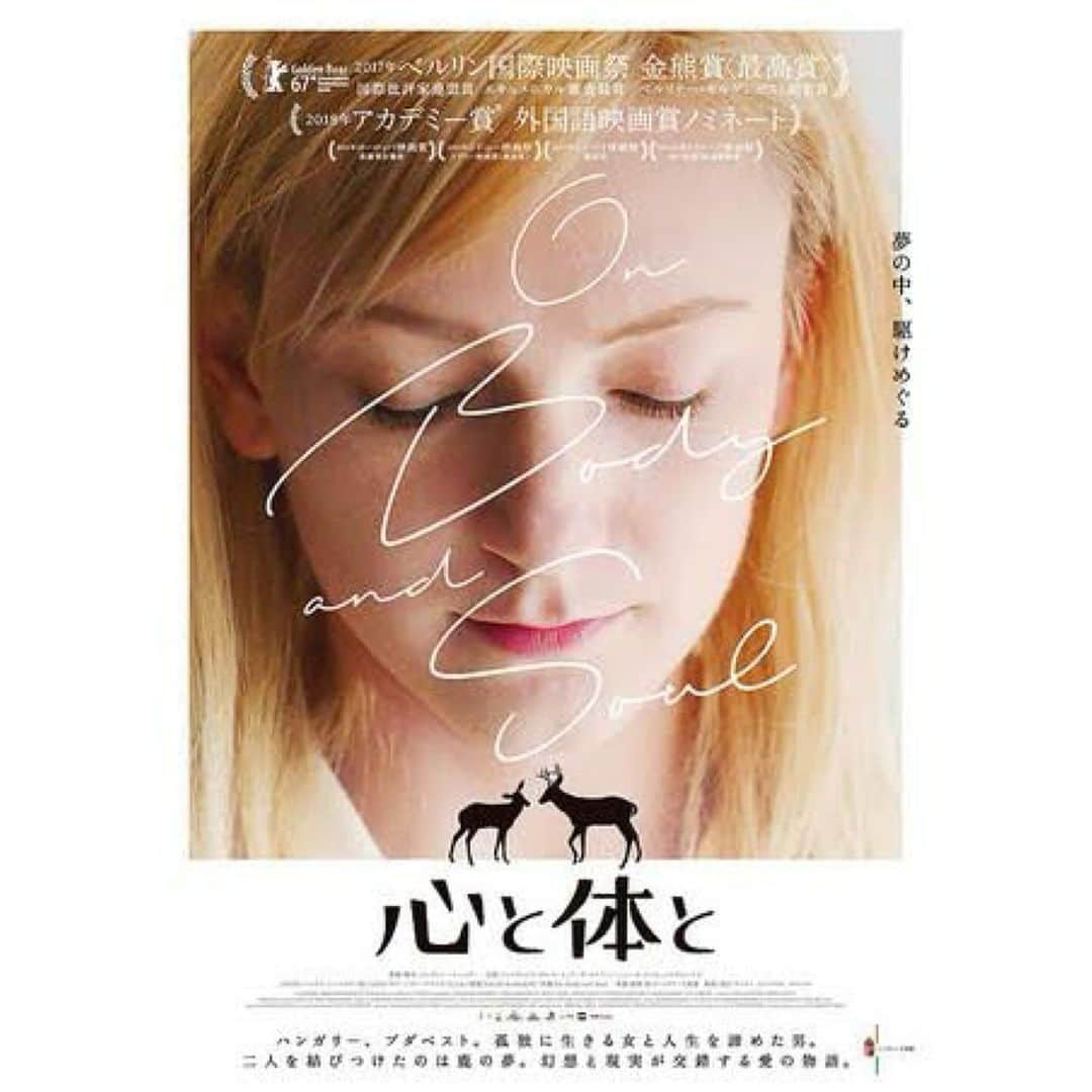 今泉マヤのインスタグラム：「✨  冒頭の🦌のシーン…美しくて好き。  ポスタービジュアルとタイトルが好き。  この作品を取り巻く空気感すべてが好き。  でも苦手なシーンも多くて（🐄🩸） やっぱり途中までしか観れなかった。  それでも、、、大好きな作品でした。  サブスクの贅沢な使いかた✨ なんか… 大人になるっていいって思った☺️  またちょっとずつ見てみよう🫣  #amazonprimevideo のPRみたいだけど違います🙇‍♀️  #心と体と 不器用にしか生きれないということ。は 心と体を一致させないと自分を生きれない ということなのかもしれない🪡」