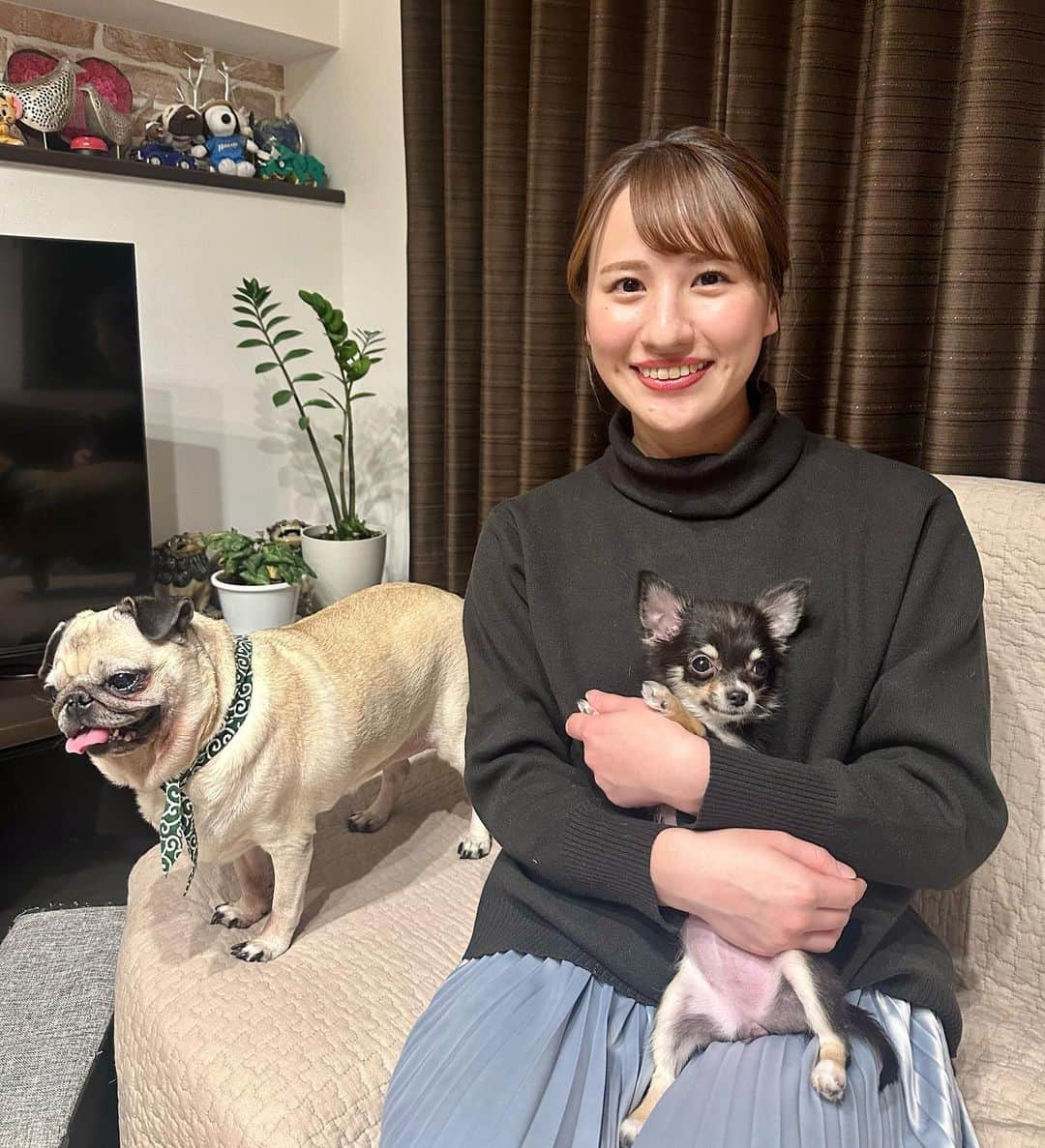 福永裕梨のインスタグラム：「. 先日、多田ちゃんの愛犬たちに お会いしてきました🐕❤️‍🔥  パグのこつぶちゃんとチワワのチョコちゃん！ チョコはもう抱っこしてるかどうか 自分でわからなくなるくらいふんわり軽くて こつぶは気持ちがビシビシ伝わってくるくらい 表情豊かで本当に愛くるしかった🥲🧡  最高に癒された多田家のお宅訪問でした🐕💗笑笑  お邪魔しました🏡🌟 本当に素敵なお家すぎて帰りたくなかったのは ここだけの話🥹笑笑  #多田萌加 ちゃん #多田ハウス #こつぶ #チョコ #パグ #チワワ #チョコのお腹全開にしちゃった #初めてパグと触れ合ってパグの可愛さを知る🥹 #こつぶの視線👀 #こつぶの虜 #なんでそんなに目で訴えてくるの… #最後はきゅうりを見つめるこつぶ🥒 #いくらでもあげたくなる🥹 #多田家の皆さんありがとうございました！！！🙇‍♂️」