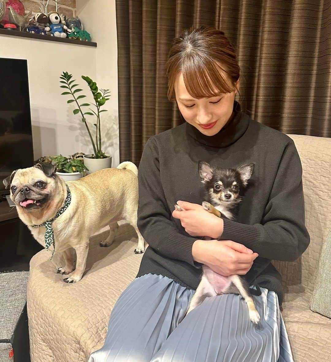 福永裕梨さんのインスタグラム写真 - (福永裕梨Instagram)「. 先日、多田ちゃんの愛犬たちに お会いしてきました🐕❤️‍🔥  パグのこつぶちゃんとチワワのチョコちゃん！ チョコはもう抱っこしてるかどうか 自分でわからなくなるくらいふんわり軽くて こつぶは気持ちがビシビシ伝わってくるくらい 表情豊かで本当に愛くるしかった🥲🧡  最高に癒された多田家のお宅訪問でした🐕💗笑笑  お邪魔しました🏡🌟 本当に素敵なお家すぎて帰りたくなかったのは ここだけの話🥹笑笑  #多田萌加 ちゃん #多田ハウス #こつぶ #チョコ #パグ #チワワ #チョコのお腹全開にしちゃった #初めてパグと触れ合ってパグの可愛さを知る🥹 #こつぶの視線👀 #こつぶの虜 #なんでそんなに目で訴えてくるの… #最後はきゅうりを見つめるこつぶ🥒 #いくらでもあげたくなる🥹 #多田家の皆さんありがとうございました！！！🙇‍♂️」12月5日 19時03分 - htb_yurifukunaga