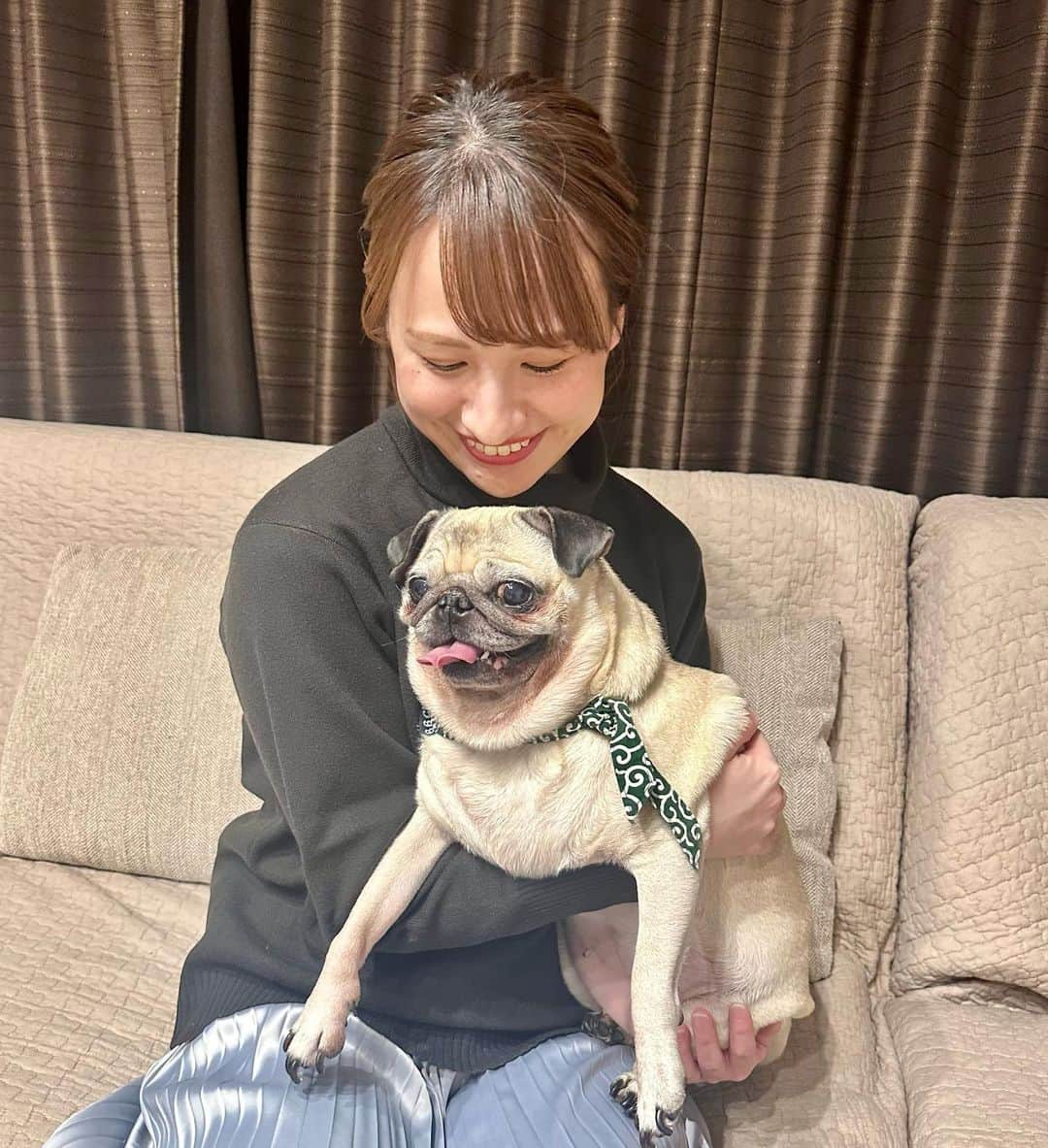 福永裕梨さんのインスタグラム写真 - (福永裕梨Instagram)「. 先日、多田ちゃんの愛犬たちに お会いしてきました🐕❤️‍🔥  パグのこつぶちゃんとチワワのチョコちゃん！ チョコはもう抱っこしてるかどうか 自分でわからなくなるくらいふんわり軽くて こつぶは気持ちがビシビシ伝わってくるくらい 表情豊かで本当に愛くるしかった🥲🧡  最高に癒された多田家のお宅訪問でした🐕💗笑笑  お邪魔しました🏡🌟 本当に素敵なお家すぎて帰りたくなかったのは ここだけの話🥹笑笑  #多田萌加 ちゃん #多田ハウス #こつぶ #チョコ #パグ #チワワ #チョコのお腹全開にしちゃった #初めてパグと触れ合ってパグの可愛さを知る🥹 #こつぶの視線👀 #こつぶの虜 #なんでそんなに目で訴えてくるの… #最後はきゅうりを見つめるこつぶ🥒 #いくらでもあげたくなる🥹 #多田家の皆さんありがとうございました！！！🙇‍♂️」12月5日 19時03分 - htb_yurifukunaga