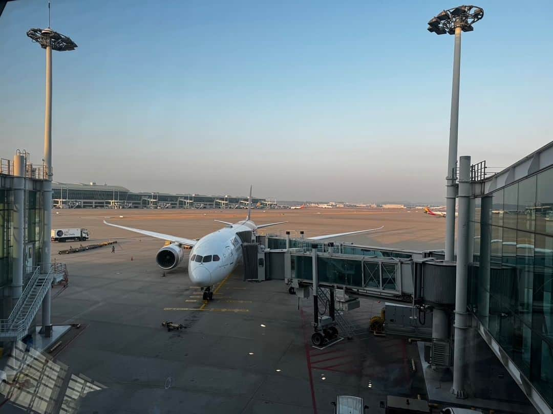 タイ航空さんのインスタグラム写真 - (タイ航空Instagram)「Enjoying the pre-flight serenity before takeoff. ✈️✨ What brings you joy during this moment? Share your flying pleasures below!   #ThaiAirways #smoothassilk #seoul #southkorea #korea #WanderlustVibes 🌍」12月5日 19時04分 - thaiairways