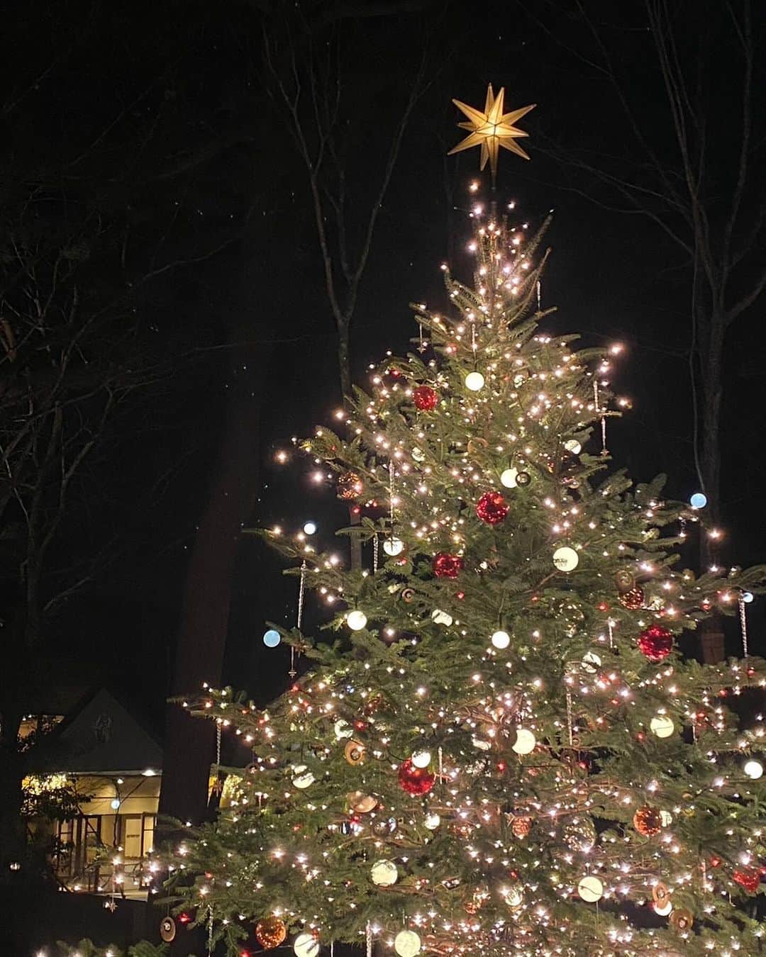 きぬさんのインスタグラム写真 - (きぬInstagram)「軽井沢高原教会 星降る森のクリスマス 2023 いってきた〜❄️🎄🎄     もうあたり一面ぴかぴかで、めちゃくちゃ素敵だった〜〜！！すごい大きいクリスマスツリーもあって、ここ大切な人といっしょにいきたいな〜て思ったよ☺️   25日までやってるみたいだからぜひ行ってみてね     #PR #軽井沢高原教会　 #軽井沢　 #クリスマス　 #イルミネーション #クリスマスデート」12月5日 19時15分 - 2_5_2555