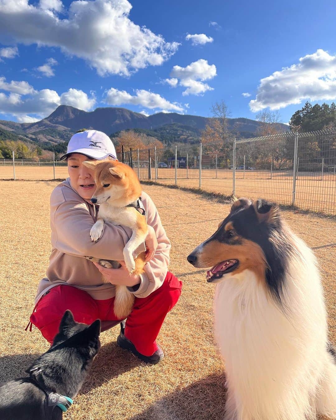 久保田磨希さんのインスタグラム写真 - (久保田磨希Instagram)「娘が学校に行っている間に犬友さんたちとドッグランへ❣️と思っていたら、 昨日は振替休日！😅 娘も誘ったのですが、家でのんびりしたいとのことでなので、母とそいちゃんだけでお出かけしてきました。 そいちゃんと一緒に写る写真もたくさん残していきたいな。 #久保田磨希 #ドッグラン #犬友」12月5日 10時44分 - maki_kubota1973