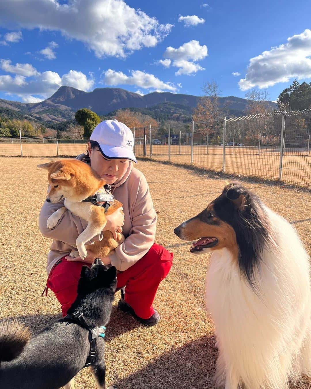 久保田磨希さんのインスタグラム写真 - (久保田磨希Instagram)「娘が学校に行っている間に犬友さんたちとドッグランへ❣️と思っていたら、 昨日は振替休日！😅 娘も誘ったのですが、家でのんびりしたいとのことでなので、母とそいちゃんだけでお出かけしてきました。 そいちゃんと一緒に写る写真もたくさん残していきたいな。 #久保田磨希 #ドッグラン #犬友」12月5日 10時44分 - maki_kubota1973