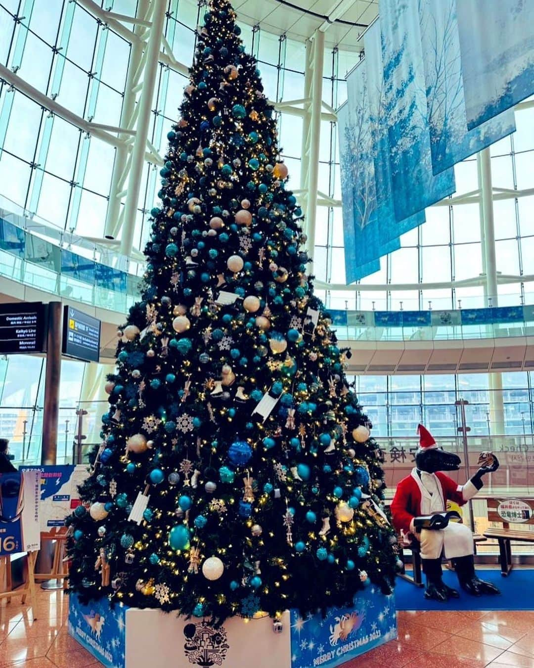 美川憲二さんのインスタグラム写真 - (美川憲二Instagram)「羽田空港よ〜✈️💨💨💨😃✌️  2019年のコロナ前、実に4年振りに‼️  今日から  年末年始、怒涛の営業連チャンツアー‼️😙😙😙😙🎵🎵🎵🎵⤴️⤴️⤴️  久しぶり過ぎて、嬉しすぎー😍😭😭  まずは　山口県からスタートです〜😃😀✌️✌️  南は、山口県から北は北海道、登別温泉大晦日カウントダウン♨️🎉🎉🎉に お正月公演にと‼️‼️😙🎵🎵🎵💡💡💡  張り切って、頑張りマッスル😬💪💪  年末年始営業連チャン‼️  年末年始営業連チャン‼️  それそれ〜😃😄⤴️⤴️ #羽田空港 #今から山口県へ  #年末年始営業連チャン #4年振りです😭 #今日からスタート #本業 #生のステージ #頑張ります #それそれー #美川憲一 #美川憲二 #ヒデコフランセスカ #オネェ系 #ものまね」12月5日 11時12分 - mikawakenji