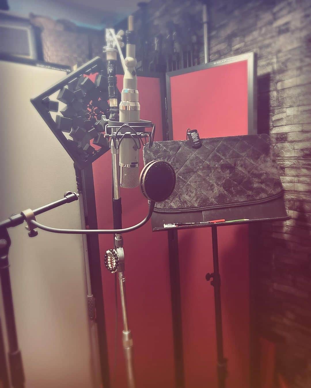 奥井雅美のインスタグラム：「New Cover Album 🎉 『マサミコブシ 〜歌謡曲編〜』のお歌レコーディングが昨日ですべて終了しましたぁ♪( ´θ｀)ノ わーいわーい🎊 ここんとこ割とハードスケジュールで先日のライブでも集中して声を使い果たしたため、 なかなかに大変でしたが、なんとか二曲✨歌いました🎙️  おもしろいことに、声がしんどい時は、ライブなどで使うハンドマイクの方が歌いやすいなーと感じます。身体の形？体制？がとても大切なんだと思う。 レコーディングは直立だからね笑  あ、私は、直立で頑張りましたが。  歳を重ねて、声帯の様子も変わってきます。 あと、声は消耗するし、復活させるまでの時間も若い頃と違って時間がかかります。  声帯を守るために他の部位（首や背中の筋肉、あと腕とか）に負担を分散させてる氣もする。  これはこれまでコーラス時代あわせて34年ほど、歌ってきて自然に身についたものと思われますが、 なんせ80歳まで歌う！あ、なんらかの音楽を続けるのが目標なので、今後もそーいった乗り越え方を更新してかなきゃと感じます。 今のところ自分曲もオリジナルキーのまま歌えてますが、それにこだわらず、先々、身体と声帯の声を聴きながら"ええ声"で歌えるキーに下げたり、激しい曲もアレンジを大人っぽくしたりして臨機応変に続けてくつもりです🐣  久しぶりに忙しかったから、 そんなことを考えたりしました。  話を戻し笑 「マサミコブシ〜歌謡曲編〜」 2024年2月 CDリリース。その前に2023年12月下旬 先行配信です☺︎  収録曲も近々発表します😃  詳細ページはプロフに貼っときます🔗」