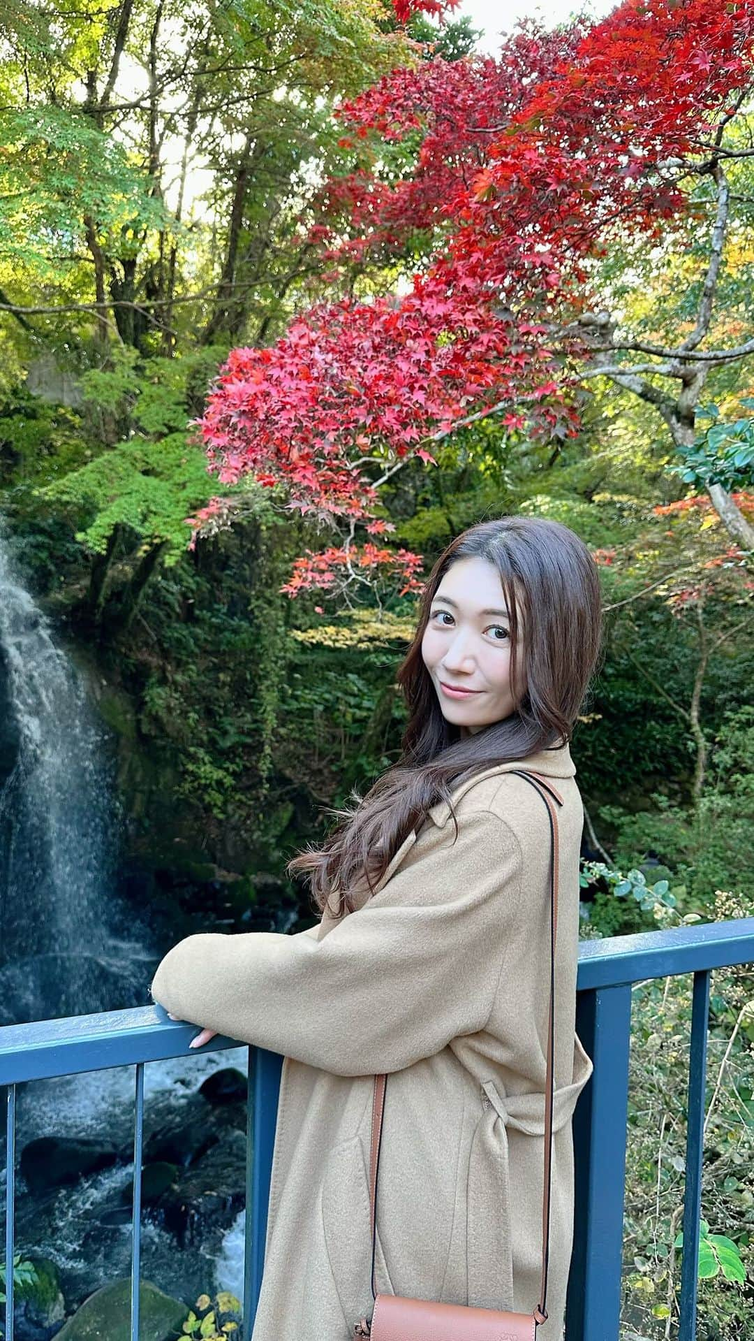 穂川果音のインスタグラム：「まだ紅葉ウォッチャーしたいなぁ〜🍁今週末も紅葉の様子を見に行きたくてわくわくしてます笑  先日の湯河原(2023.11.25時点)の動画もアップするよ！  万葉公園は石の上とか歩くので、絶対にスニーカーがオススメです👟  #湯河原　#万葉公園 #紅葉　#autumnleaves🍂 #yugawara #japantrip #japanautumn」