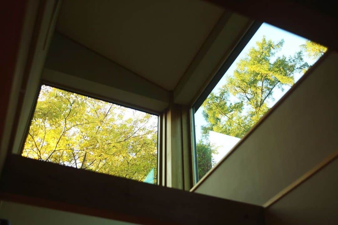 ㈲木の香の家―木精空間―さんのインスタグラム写真 - (㈲木の香の家―木精空間―Instagram)12月5日 11時58分 - konokanoie
