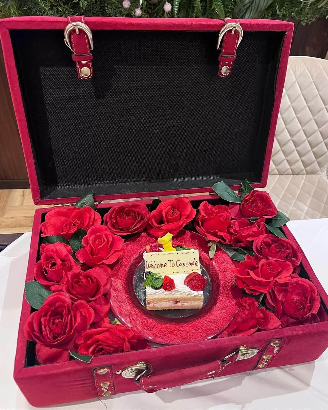 あいにゃんさんのインスタグラム写真 - (あいにゃんInstagram)「カスケード銀座で憧れのトランクケーキ🍰🌹  ︎︎ ︎︎︎ ︎︎︎ ︎ フレンチコースがお箸で食べれるの🥢🤍  品数も想像より多くてお魚お肉パスタまで出てきてボリューム満点っᐢ ̥_ ̫ _ ̥ᐢ♡  ︎︎ ︎︎︎ ︎︎︎ ︎ トランクケーキ可愛いしばえるのでぜひ🎀❕ * * #カスケード銀座店 #お箸でフレンチ #トランクケース #フレンチ #お祝い #PR」12月5日 12時14分 - ainyan0310