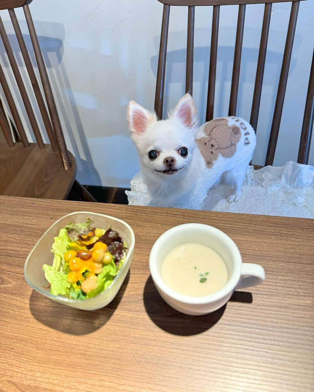 さわいえりさんのインスタグラム写真 - (さわいえりInstagram)「⠀  愛犬と一緒に楽しめる、 本場イタリアのマンマの味🇮🇹  (@buono_and_felice)  ランチに明太クリームトマトパスタ食べに行ってきたよ♡ スープとサラダもセットになっているからボリューム満点♪  私明太子大好きだから、パスタはいつも明太入ってるの注文するほどよく食べてるんだけど、こちらのパスタは一口目から美味しくてびっくりした🫢  クリーミーな明太クリームとトマトの酸味がすごく合うし、 麺もほどよいもちもち感でクリームによく絡みます。  わんちゃん用メニューもたくさんあったから、 今度は頼んでみたいと思います🐶  プロの料理研究家でオーナーの トマト姫と写真撮ってもらったよ👸 リボンが魔女の宅急便キキみたいで可愛かったです🍅　  ほんとに駅前すぐで立地もいいし、 わんことゆったりくつろげるからおすすめ♪  📍 東京都世田谷区上野毛1-25-8　店舗1FHK　ビル　Buono&Felice  ⠀  ⠀  PR #トマト姫 #トマト料理専門店 #上野毛ランチ #ペットOK #ペットフレンドリー #パスタランチ #明太クリームトマトパスタ #上野毛グルメ#世田谷グルメ#世田谷」12月5日 12時23分 - beauty_eri7