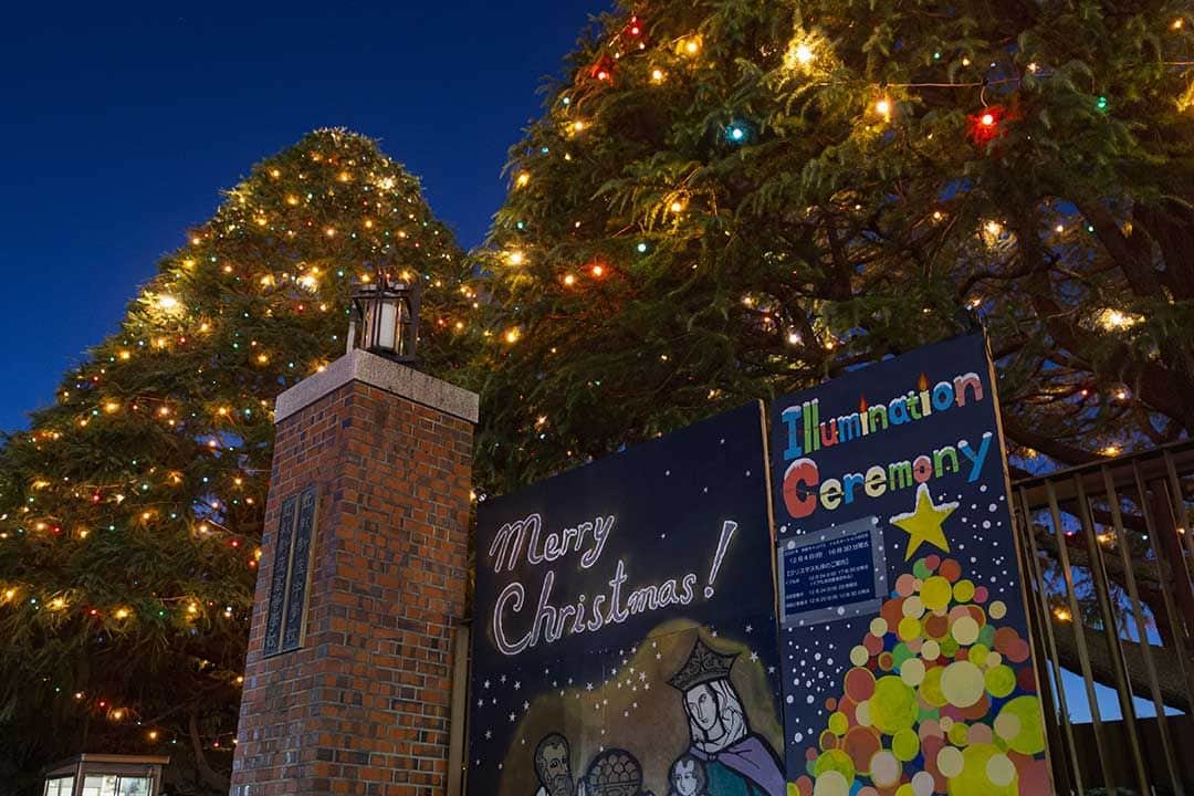 立教大学さんのインスタグラム写真 - (立教大学Instagram)「#ChristmasinRikkyo #立教大学 #クリスマス #イルミネーション 新座で1996年から続く「イルミネーション点灯式」が行われ、今年もヒマラヤ杉に明かりが灯りました。  新座キャンパス 2023年度 イルミネーションの点灯時間 12月5日（火）～12月23日（土）　16:00点灯／21:30消灯 12月24日（日）　16:00点灯（終夜点灯）　※25日（月）6:00消灯 12月25日（月）　16:00点灯（終夜点灯）　※26日（火）6:00消灯 12月26日（火）～2024年1月6日（土）　16:00点灯／21:00消灯  クリスマスイルミネーションは教会の暦に従い、キリストの降誕を待ち望む期間（降臨節）からキリスト誕生を祝い、地上への顕現を祝う日（1月6日「顕現日」）までの間、点灯します。  ©立教大学写真部 #立教大学 #立教 #立大 #rikkyo #rikkyouniversity #japanuniversity  #大学 #大学生 #大学生活 #大学受験 #ikebukuro #池袋キャンパス #立教 #立教大学 #イルミネーション #Illumination #ヒマラヤ杉 #ヒマラヤスギ #Xmas #deodar #cristmas #christmastree #クリスマス #クリスマスツリー #coregraphy #photography #ファインダー越しの私の世界 https://www.rikkyo.ac.jp/christmas/」12月5日 13時07分 - rikkyouniv