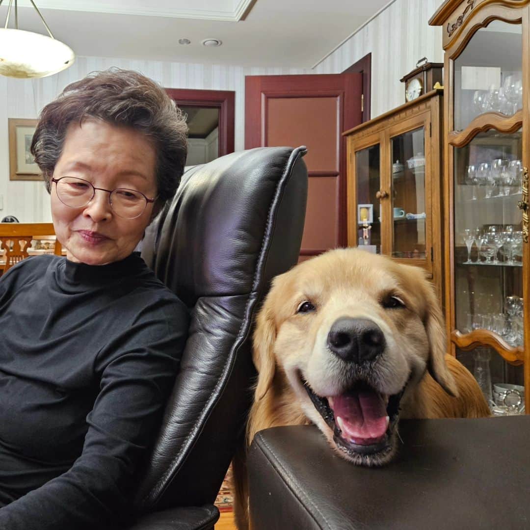 ムン・ジョンヒさんのインスタグラム写真 - (ムン・ジョンヒInstagram)「#마누 #manu #happy #smile #보고싶어 #촬영중   촬영하면서 마누소식은  젤큰 에너지네요♡ 힘내서 잘마치고 갈게!! 마누 잘돌봐주셔서 가족들  모두  고마워요 😄  @manu_goldenretriever」12月5日 13時10分 - jeonghee_moon