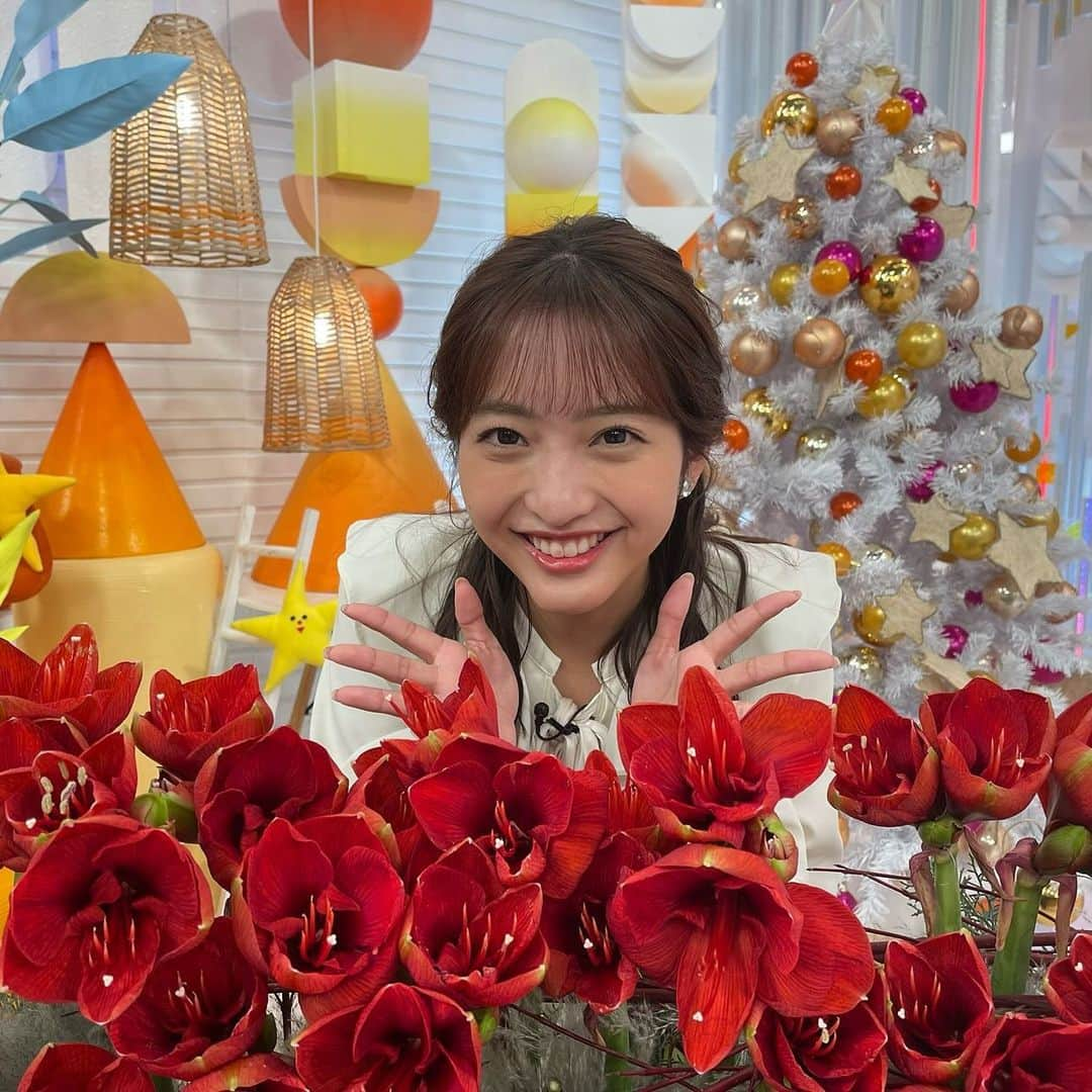 フジテレビ「めざましテレビ」さんのインスタグラム写真 - (フジテレビ「めざましテレビ」Instagram)「まりのです⭐️  今日は德田アナと一緒にお花コーナーでした✨ 紹介したのはクリスマスリース🎄 德田アナのジングルベール🎶ナイス歌唱でした☺️  今日のポーズは德田アナ考案❄️ 私がツリーで德田アナがトナカイだそうです☺️」12月5日 13時18分 - mezamashi.tv