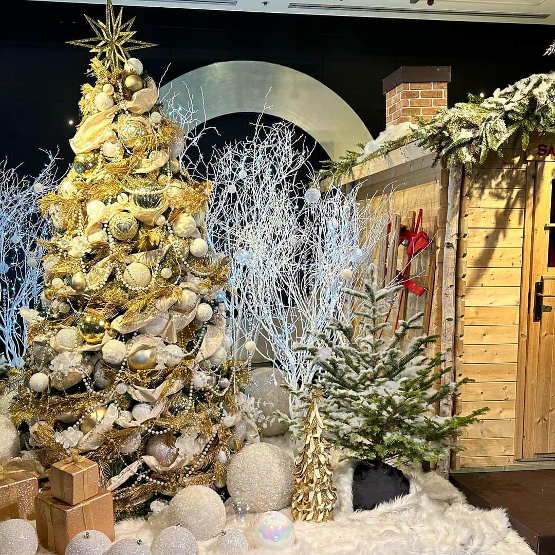 田中琴乃さんのインスタグラム写真 - (田中琴乃Instagram)「・ 街中にクリスマスツリーが増えて華やかになってきましたね☺️🎄  寒いのは苦手ですが、このシーズンはイルミネーションを見られるならとなんとか我慢できます🥹  #christmas #ホテルニューオータニ」12月5日 13時43分 - tanakakotono