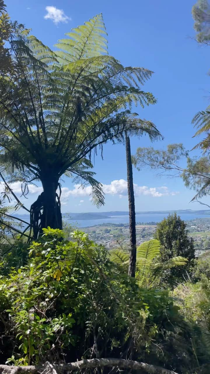 中島早貴のインスタグラム：「I never imagined I would be hiking with such a big backpack on my back🤯 My host family has expanded my life🥹 Thank you so much!!  #語学留学生 #NewZealand #NZ #アウトプット日記」