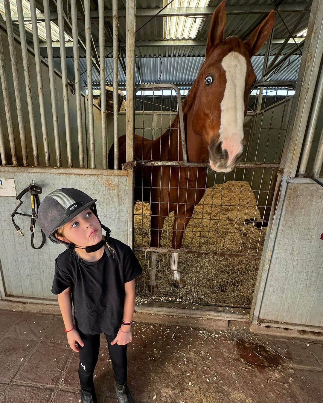 エリザベッタ・カナリスさんのインスタグラム写真 - (エリザベッタ・カナリスInstagram)「-Today in LA - I love goats and sometimes I get some love back 💕 -my mom, her sister and I here in LA  -Skyler on a horse for the first time ( I wanted to be there bc horseback riding has been my favorite thing since i was little) Then horses, love , fun and obviously the Christmas magic 🪄」12月5日 14時56分 - littlecrumb_