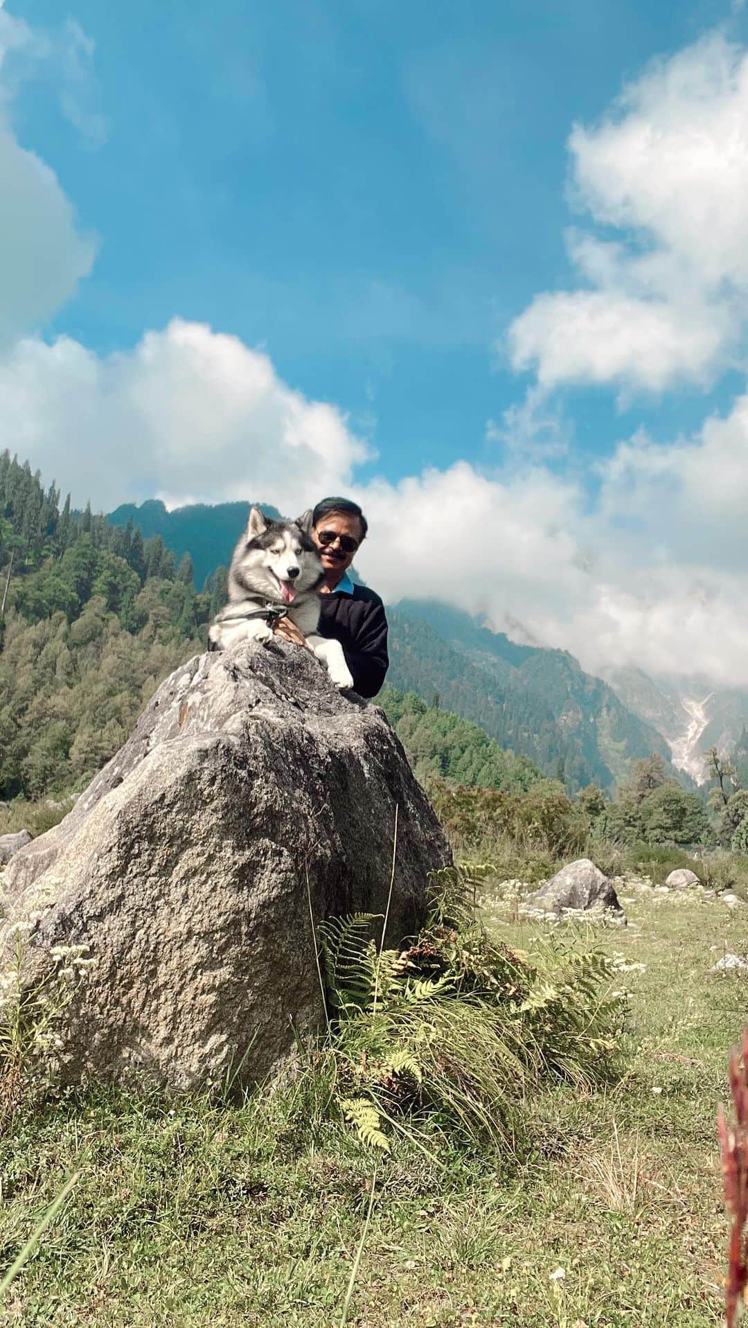 Aakriti Ranaのインスタグラム：「Well that shit really hurts too 🫠 Leaving Shadow with dad in Shimla now. Addy and I are gonna be so bored of each others without him in the house now 😒  Do you also have long distance with your doggo 🥺🥺 How often do you meet em?   [ aakriti rana, long distance, LDR, family, road trip, husky, dog videos, long distance relationship, shimla, Himachal Pradesh]」