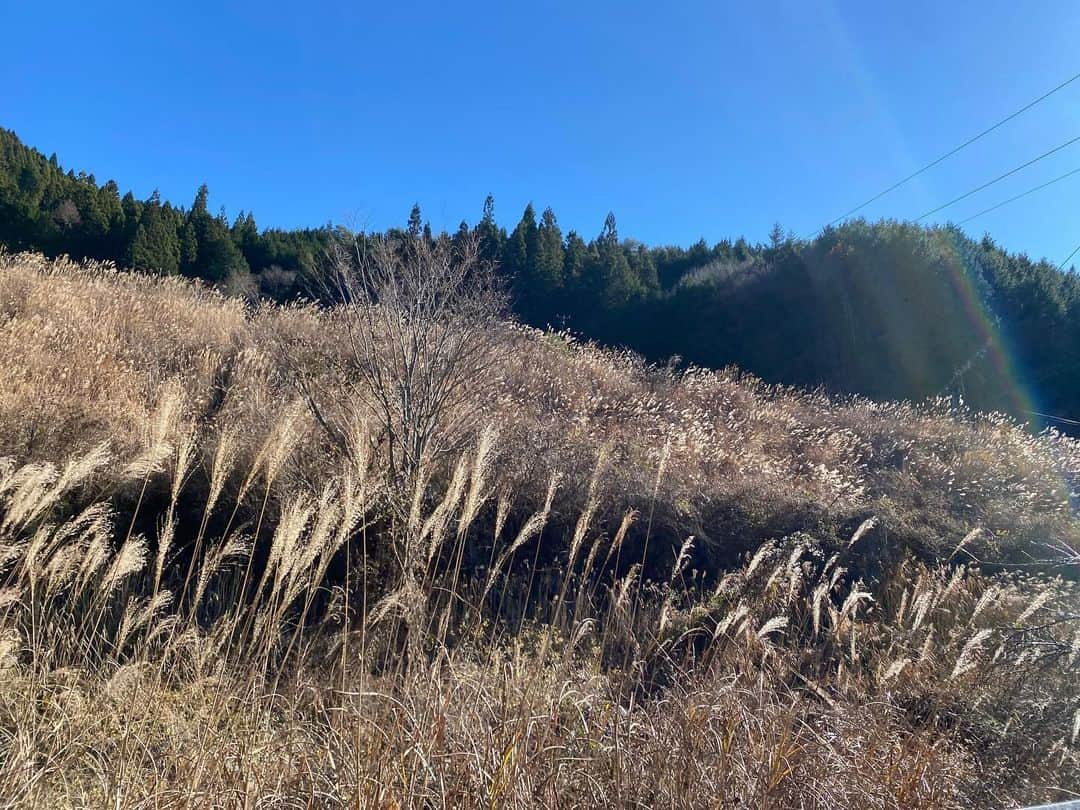 タテタカコさんのインスタグラム写真 - (タテタカコInstagram)「昨日の山越。 帰り道には🦌🦌🦌鹿が出歩いてました。」12月5日 15時45分 - tatetakako