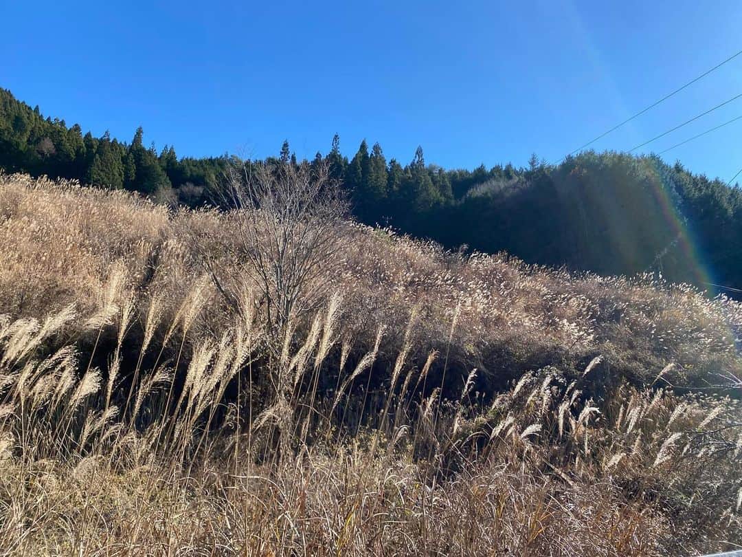 タテタカコのインスタグラム：「昨日の山越。 帰り道には🦌🦌🦌鹿が出歩いてました。」