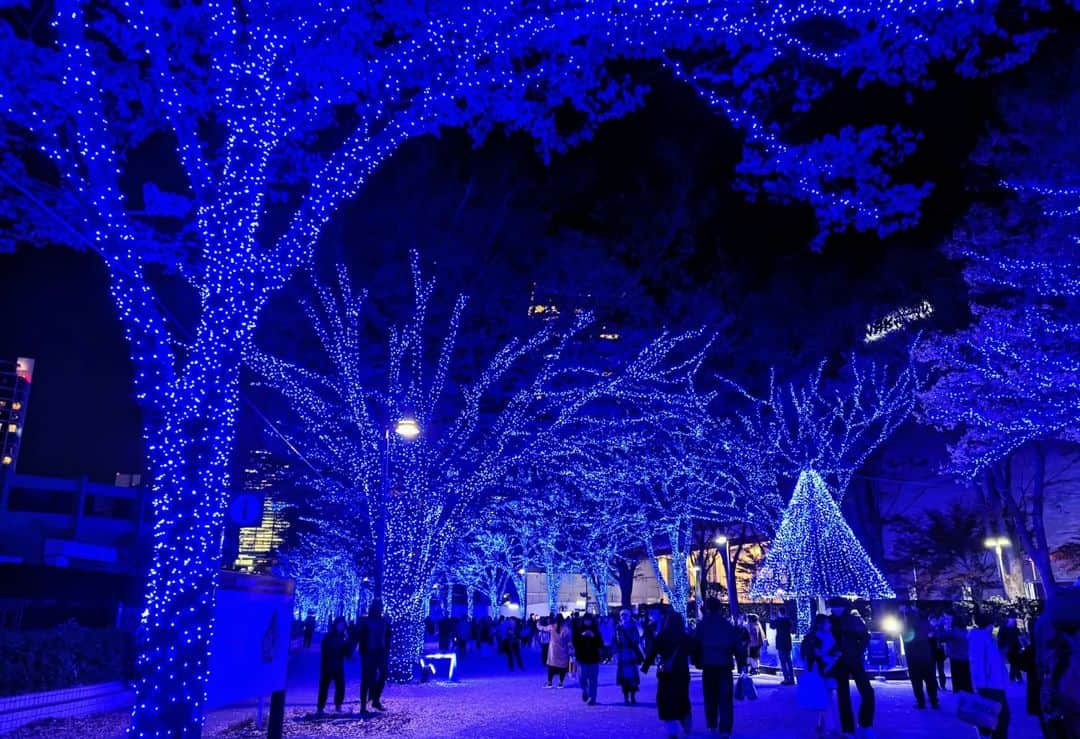 平井富子さんのインスタグラム写真 - (平井富子Instagram)「元祖？青の洞窟〜  代々木公園〜渋谷まで の美しい青の洞窟。 Xmasムードを楽しみました〜」12月5日 16時59分 - enchantewithd