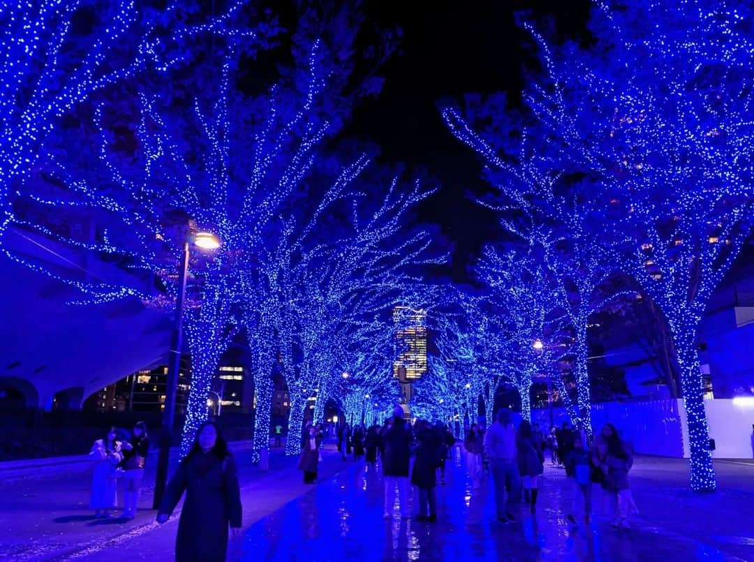 平井富子さんのインスタグラム写真 - (平井富子Instagram)「元祖？青の洞窟〜  代々木公園〜渋谷まで の美しい青の洞窟。 Xmasムードを楽しみました〜」12月5日 16時59分 - enchantewithd