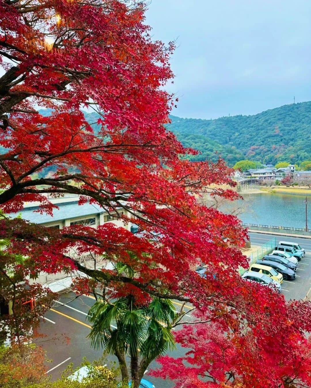 美川憲二さんのインスタグラム写真 - (美川憲二Instagram)「山口県は　岩国市に到着ーー✈️💨💨  岩国国際観光ホテル🏨さん入りして  リハーサル〜😙🎤🎵🎵✨✨✨✨  今日は、前乗りして　リハーサルだけなので😃😅✌️  本番は明日‼️  岩国国際観光ホテルさん　宿泊で🏨  ディナー🍽️頂いて、  大浴場で　お風呂いただいて♨️  ゆっくりさせてもらいますぅ🥰💕💕💕 #岩国国際観光ホテル #山口県岩国市 #リハーサル #今日は前乗り日 #美川憲一 #美川憲二 #ヒデコフランセスカ #オネェ系 #ものまね」12月5日 16時56分 - mikawakenji