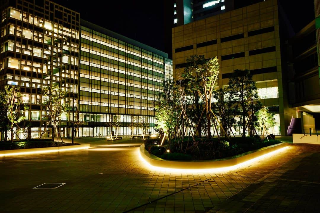 法政大学さんのインスタグラム写真 - (法政大学Instagram)「市ケ谷キャンパスの夜景をお届け✨中央広場はライトアップし、幻想的な風景になります。大内山校舎もきれいです～。  もう12月ですね。朝晩かなり寒いので、みなさん体調気を付けてお過ごしください～🙌  #法政大学 #法政 #大学 #春から法政 #春から大学生 #受験生 #市ケ谷 #キャンパスライフ #大学生活 #試験 #勉強 #授業 #HOSEI #hoseiuniversity #hosei #university #student」12月5日 17時08分 - hosei_university