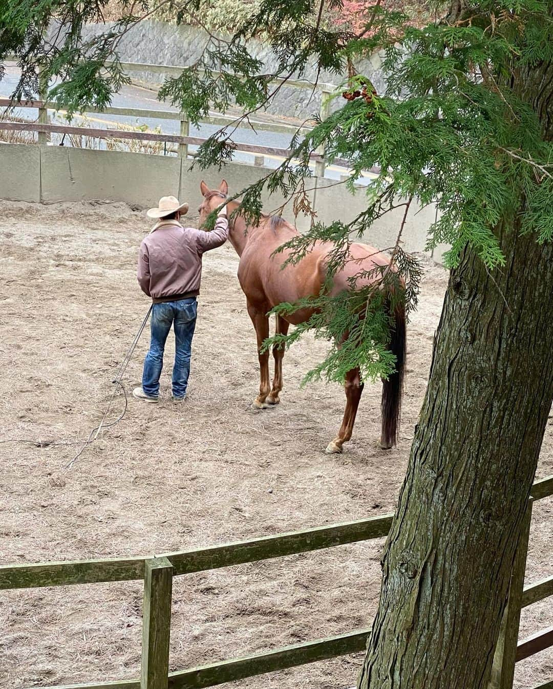 門脇更紗さんのインスタグラム写真 - (門脇更紗Instagram)「リフレッシュ！！！  🍁🐄🐑🐏🐎🐐🌳」12月5日 17時45分 - sarasagram