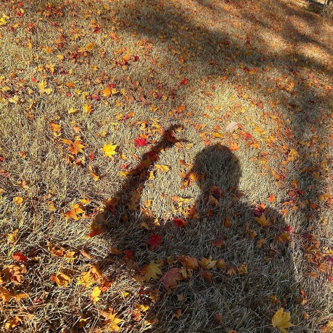 ま い ち ☺︎のインスタグラム：「ㅤㅤㅤㅤㅤㅤㅤㅤㅤㅤㅤㅤㅤ ㅤㅤㅤㅤㅤㅤㅤㅤㅤㅤㅤㅤㅤ 　12がつぅ〜❤️‍🔥ㅤㅤㅤㅤㅤㅤㅤㅤㅤㅤㅤㅤㅤ ㅤㅤㅤㅤㅤㅤㅤㅤㅤㅤㅤㅤㅤ 1年ってあっとゆーまだなってㅤㅤㅤㅤㅤㅤㅤㅤㅤㅤㅤㅤㅤ 年取るたびに感じる｡ﾟ(ﾟ´•_•`ﾟ)ﾟ｡ ㅤㅤㅤㅤㅤㅤㅤㅤㅤㅤㅤㅤㅤ ㅤㅤㅤㅤㅤㅤㅤㅤㅤㅤㅤㅤㅤ 最近充実しすぎてるなってㅤㅤㅤㅤㅤㅤㅤㅤㅤㅤㅤㅤㅤ 写真フォルダ見返すたびに思う🎶ㅤㅤㅤㅤㅤㅤㅤㅤㅤㅤㅤㅤㅤ ㅤㅤㅤㅤㅤㅤㅤㅤㅤㅤㅤㅤㅤ いっぱい載せたい写真ある❕❕ㅤㅤㅤㅤㅤㅤㅤㅤㅤㅤㅤㅤㅤ ㅤㅤㅤㅤㅤㅤㅤㅤㅤㅤㅤㅤㅤ 毎日寒いけど 2023年ラストㅤㅤㅤㅤㅤㅤㅤㅤㅤㅤㅤㅤㅤ みんな充実して過ごそうね〜🫰🏻？ ㅤㅤㅤㅤㅤㅤㅤㅤㅤㅤㅤㅤㅤ ㅤㅤㅤㅤㅤㅤㅤㅤㅤㅤㅤㅤㅤ」