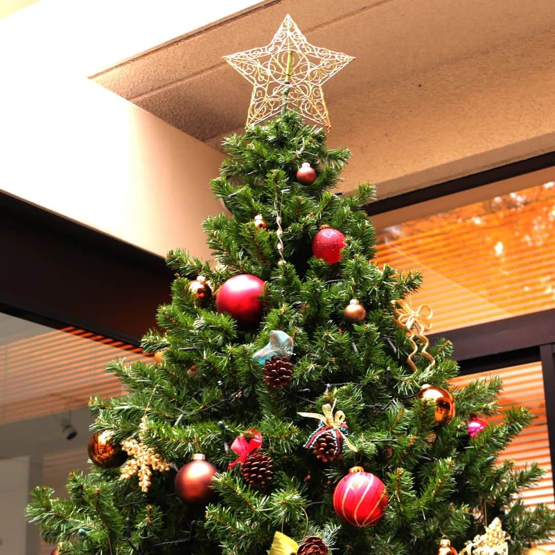 東京都庭園美術館のインスタグラム：「🎄クリスマスツリーが飾られました🎄 #庭園の四季シリーズ 寒さがましてゆく毎日ですが、正門付近に毎年恒例のクリスマスツリーが登場✨ 今年はいつもより可愛らしいオーナメントをたくさん飾っています。  12/8・10・16には、美術館で育ったマツぼっくりを使って、さらにこのクリスマスツリーに飾る、オーナメント作りワークショップを開催予定です!   詳細はこちら🫶 https://www.teien-art-museum.ne.jp/event/treeornament_231208/   #東京都庭園美術館 #旧朝香宮邸 #庭園 #茶室 #東京 #お散歩 #tokyometropolitanteienartmuseum #teienartmuseum #garden #tokyo #tokyomuseums #Teien40th」