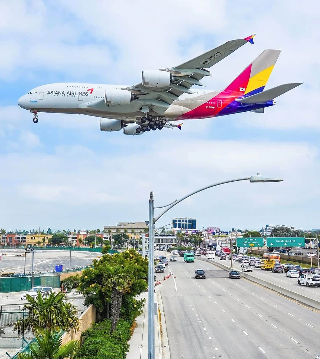 アシアナ航空日本地域公式アカウントのインスタグラム：「OZic ASIANA_LA A380  ┈┈┈┈┈┈┈┈┈┈ 𝐎𝐙𝐢𝐜 𝐀𝐬𝐢𝐚𝐧𝐚📸  ラ・ラ・ランドのBGMが聞こえてきそうな道路の上を アシアナ航空A380が手で掴めそうな距離で横切っています。  覚えててください！24年3月からは毎日2便運航する A380に乗ってLAに行けるということを🛫  📌アシアナ航空A380だけにある2階デュオシート 2-4-2配列に窓側に収納ボックスまで 更に快適で広々としたエコノミーをご体験ください。  📷 @southbay_dan_aviation  ┈┈┈┈┈┈┈┈┈┈   #アシアナ航空 #アシアナ #ASIANA #asianaair #asianaairlines #OZ #Flyasiana #韓国 #korea #韓国旅行 #✈️#A380 #エアバス380 #飛行機 #航空機 #ロサンゼルス #LA #LAX "」