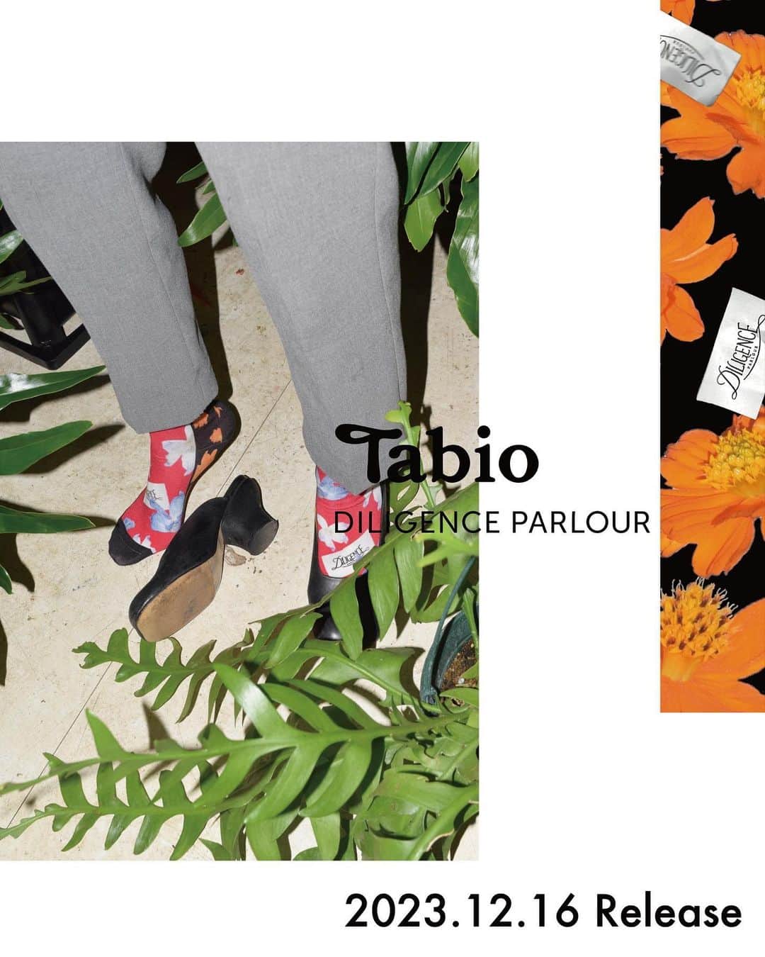 靴下屋公式アカウント（tabio）さんのインスタグラム写真 - (靴下屋公式アカウント（tabio）Instagram)「. DILIGENCE PARLOUR / Tabio　Limited socks  2023.12.16 Sat Release ⁡  植物の可能性と創造性を探求し、  そこから生まれる文化的価値と新しいコミュニケーションを 日々のくらしの中に提供するフラワーショップ  DILIGENCE PARLOURとのコラボレーションソックスを発売します。  第二弾となる今回ははレディース6柄に加えて、 メンズサイズの2柄もご用意しました。 花とプリントが織りなす新しいデザインをお楽しみください。  【販売店舗】 ・Tabio 表参道ヒルズ店 ・Tabio 六本木ヒルズ店 ・Tabio Japan GINZA SIX 店 ・Tabio KITTE 店 ・DILIGENCE PARLOUR オンラインストア  #DILIGENCEPARLOUR  #Tabio  #DILIGENCEPARLOURxTabio  #flower #socks」12月5日 17時58分 - tabio.jp