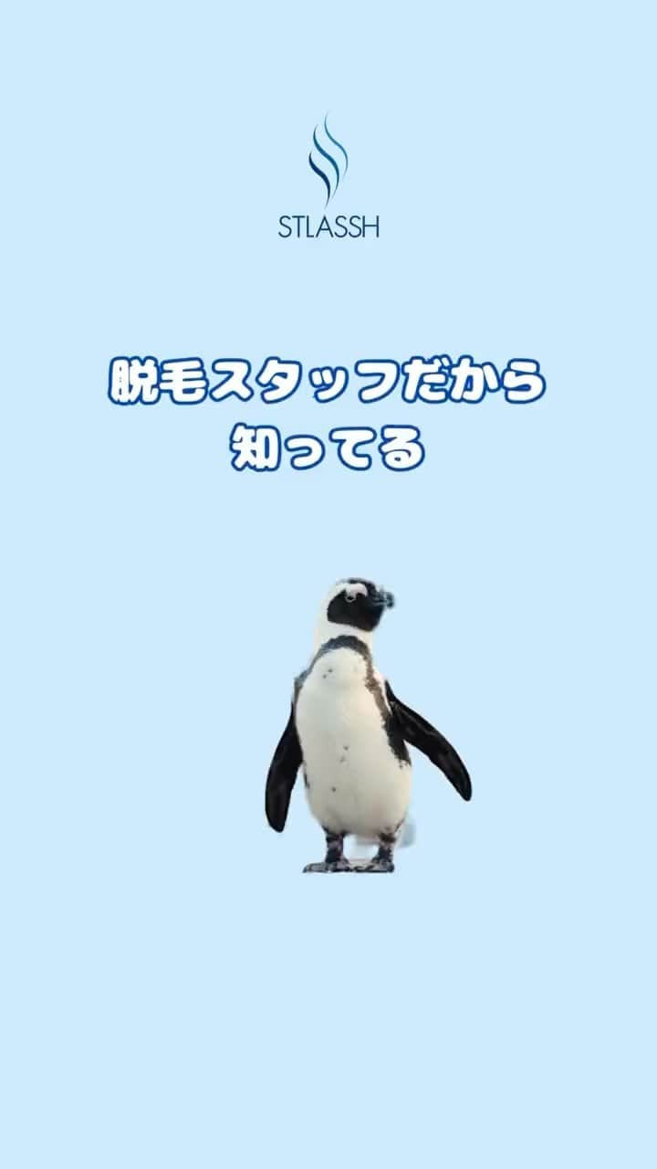 ストラッシュのインスタグラム：「脱毛初心者さん必見！ 是非チェックしてみてください✅」