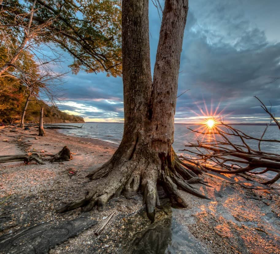 アメリカ内務省のインスタグラム：「Just an hour from Washington, D.C., Douglas Point offers fantastic opportunities for hiking, fishing and relaxing along the shore. Several hiking trails — including part of the Potomac Heritage National Scenic Trail — lead through a beautiful hardwood forest to narrow beaches along the Potomac tidewaters.    The area’s outstanding natural attributes are equally matched by its archeological resources and history, including Native American sites, remnants from the Civil War, a historic homestead and dozens of World War I-era sunken ships, which now lie in Mallows Bay.    Photo by @mypubliclands    #maryland #publiclands   Alt Text: A tree on the shore of a river during sunset.」