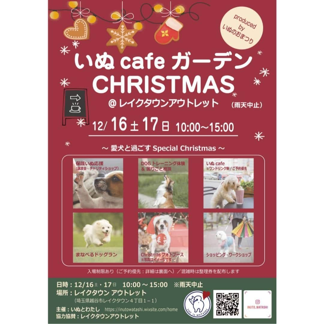 甲斐麻美さんのインスタグラム写真 - (甲斐麻美Instagram)「. 12/16(土)17(日) 愛犬と過ごすSpecial Christmas！ \\いぬcafeガーデン// 　@レイクタウンアウトレットの水辺沿い  【 保護いぬ応援エリア 】 17(日)のみ　※正しくは12/17(日)の参加です  ＼Mellow Dog Rescue／ (@mellow.rescue ) ▶無添加おやつ・お揃いアクセサリーetc  ----------  メロードッグレスキューは、保健所に収容された成犬の野犬を中心に、一般譲渡の難しい犬たちの保護・トレーニング・譲渡活動を行っている小規模シェルターです。  私たちが活動の中で最も大切にしていること。 それは「犬たちが犬らしく、心身ともに満たされた一生を送れること」です。  ただ命を永らえるためだけではなく、受け入れた保護犬たちのQOL（Quality of Life）が最大限に保たれるよう、有資格者の代表とボランティアスタッフがそれぞれの犬のニーズに合わせ、心身のケアを行っています。  いつの日か保護犬がいない未来の土台となるべく、「命に対する責任や終生飼育の大切さを伝えたい」という想いから、初めて出店に応募させていただきました。 今回の売上の一部は、保護活動費として寄付されます。 同じく犬の幸せを願う皆様から、私たちの活動をサポートしていただけたらとても嬉しいです。 ぜひお立ち寄りください！  ---------- ※事前予約等は各出店者様のDMへ 直接お問い合わせ下さい  ================ 　いぬ cafe ガーデン ================ 日時：R5.12/16(土)17(日) 10:00～15:00 ※雨天中止 場所：レイクタウンアウトレット JR武蔵野線　越谷レイクタウン駅　徒歩7分 ※入場無料 ※カフェエリア予約優先（ワンドリンク制）  ■カフェのご予約はこちら💓 >> https//reserva.be/inutowatashi プロフィール欄から飛べます🕊  #いぬcafeガーデン #いぬとわたし #レイクタウンアウトレット #犬イベント #いぬのいる暮らし #ドッグカフェ #犬とクリスマス #クリスマスイベント #犬との暮らし #犬ファースト #犬好きさんと繋がりたい #犬がいないと生きていけません #犬好き　#いぬカフェ #犬のイベント #犬イベント #保護犬 #犬の幸せ」12月5日 20時00分 - inuto_watashi