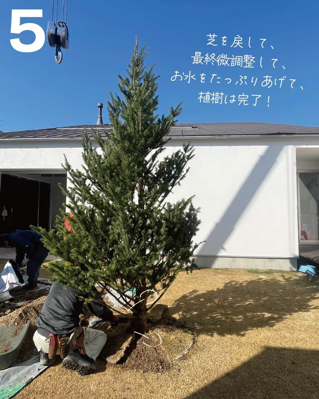 321houseさんのインスタグラム写真 - (321houseInstagram)「来週末のクリスマスイベントに向け、321HOUSEの常設モデルハウスに本物のもみの木を植樹しました！ なかなか無い作業なのでその工程をざっくりご紹介♪ . スタッフブログではもう少し細かく紹介している記事もあるので、ご興味ある方はぜひHPもご覧になってみてください＾＾ 321HOUSEのスタッフたちが家づくりやそれ以外のこと、日々更新しています♪ . ツリーは現在はまだ電飾のみの装飾ですが、今週中にはオーナメントなどなど飾り付けも行うので、お楽しみに✨✨ . 【 321HOUSEのクリスマスイベント 🎄】 　 12/15fri･16sat･17sun 　 10:00-18:00 ◇◇◇◇◇◇◇◇◇◇◇◇◇◇◇◇◇◇ 321HOUSEからのクリスマスプレゼント🎁 クリスマス本番前の週末に、常設モデルハウスにて わくわく楽しいイベントを開催します🎵 . ⭐️ワークショップ ミニツリーづくり🎄　［限定10組］ ⭐️ハズレくじなしのガラポン大会 １等は１万円相当の生活雑貨✨ ⭐️わくわくお菓子釣り . 各企画ご予約なしでもご参加いただけますが 数に限りあり、すでにご予約も入っています！ ご予約優先となりますのでご注意ください💦 . ご予約はHP、またはお電話からお気軽に お問い合わせくださいませ😊 📞0824263218 HP @321house . . HPでは様々な注文建築の事例も ご紹介しています✨ —――――――――――――――――― 　広島で建てる自然素材の注文住宅 　平屋の事例も多数！ 　321HOUSE（ミツイハウス）のHPは 　@321house　からどうぞ♪ —――――――――――――――――― . . #東広島 #広島 #モデルハウス #注文住宅 #平屋 #平屋のモデルハウス #広島モデルハウス #新築 #新築戸建て #マイホーム #家づくり #木のある暮らし #木の家 #自然素材の家 #自然素材 #シンプルな家 #自由設計 #自由な間取り #デザイン住宅 #こだわりの家 #設計士とつくる家 #家事動線 #漆喰 #土間 #クリスマスイベント #東広島イベント #ワークショップ #もみの木 #クリスマスツリー」12月5日 20時00分 - 321house